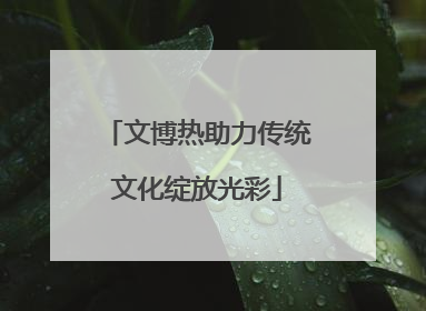 文博热助力传统文化绽放光彩
