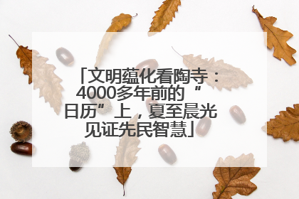 文明蕴化看陶寺：4000多年前的“日历”上，夏至晨光见证先民智慧