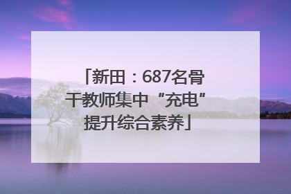 新田：687名骨干教师集中“充电” 提升综合素养
