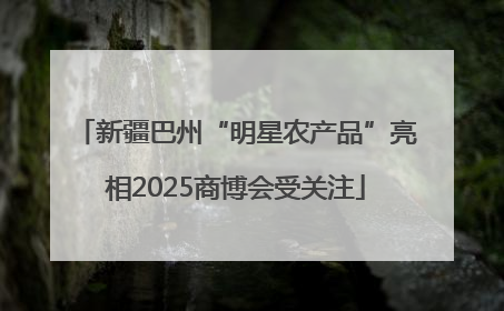 新疆巴州“明星农产品”亮相2025商博会受关注