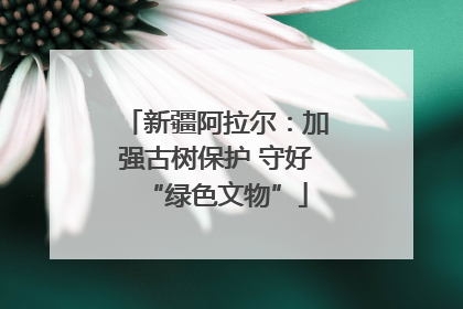 新疆阿拉尔：加强古树保护 守好“绿色文物”