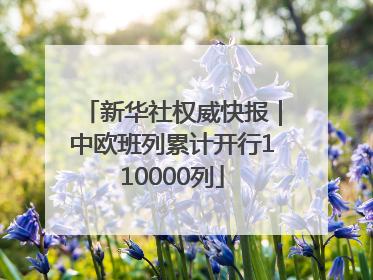 新华社权威快报｜中欧班列累计开行110000列