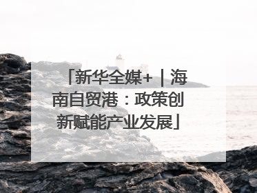 新华全媒+｜海南自贸港：政策创新赋能产业发展