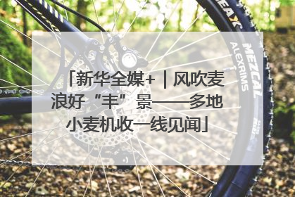 新华全媒+｜风吹麦浪好“丰”景——多地小麦机收一线见闻