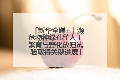 新华全媒+丨濒危物种绿孔雀人工繁育与野化放归试验取得关键进展