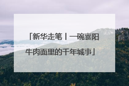 新华走笔丨一碗襄阳牛肉面里的千年城事