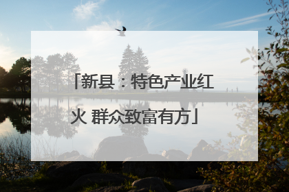 新县：特色产业红火 群众致富有方