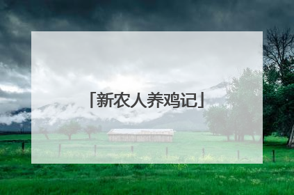 新农人养鸡记