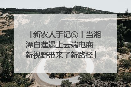 新农人手记⑤丨当湘潭白莲遇上云端电商 新视野带来了新路径