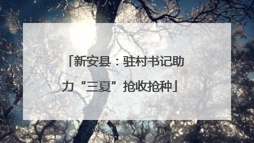 新安县：驻村书记助力“三夏”抢收抢种