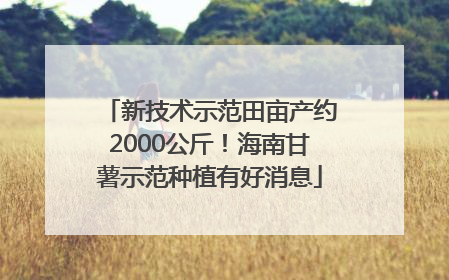 新技术示范田亩产约2000公斤！海南甘薯示范种植有好消息