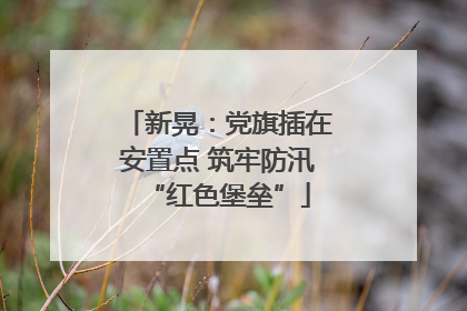 新晃：党旗插在安置点 筑牢防汛“红色堡垒”