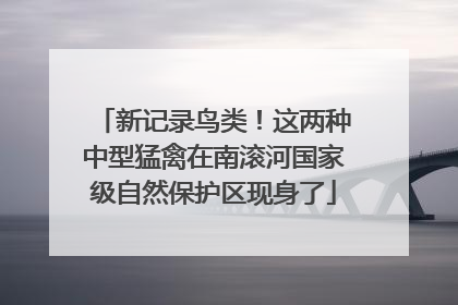 新记录鸟类！这两种中型猛禽在南滚河国家级自然保护区现身了