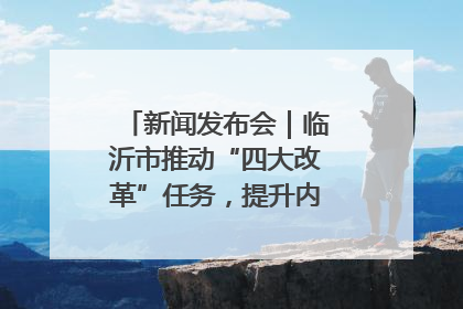 新闻发布会｜临沂市推动“四大改革”任务，提升内部审计监督效能