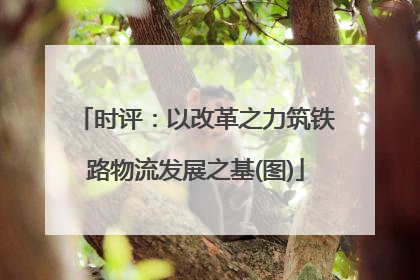 时评：以改革之力筑铁路物流发展之基(图)