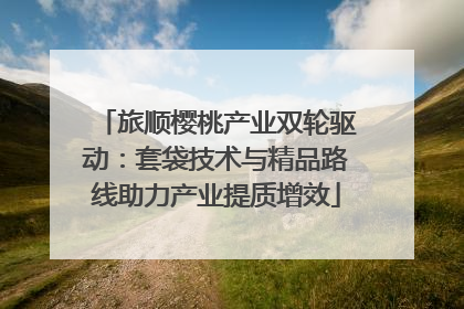 旅顺樱桃产业双轮驱动：套袋技术与精品路线助力产业提质增效