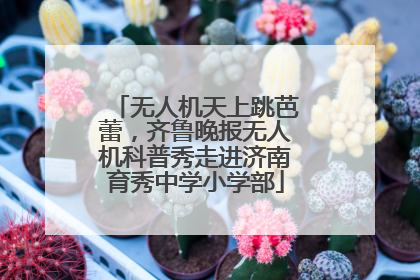无人机天上跳芭蕾，齐鲁晚报无人机科普秀走进济南育秀中学小学部