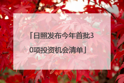 日照发布今年首批30项投资机会清单