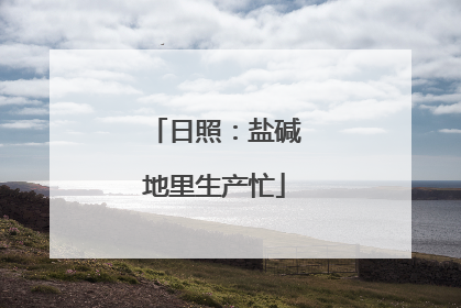日照：盐碱地里生产忙