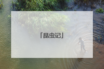 昆虫记