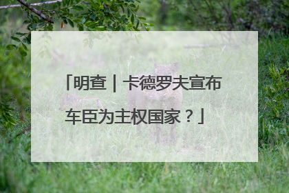明查｜卡德罗夫宣布车臣为主权国家？