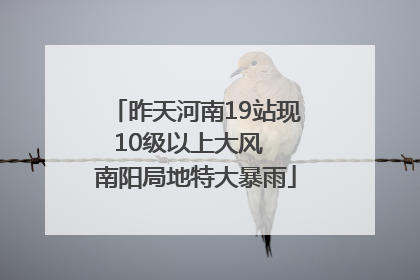 昨天河南19站现10级以上大风  南阳局地特大暴雨