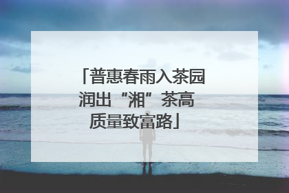 普惠春雨入茶园 润出“湘”茶高质量致富路