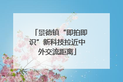 景德镇“即拍即识”新科技拉近中外交流距离
