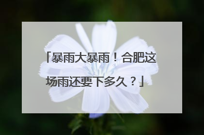暴雨大暴雨！合肥这场雨还要下多久？