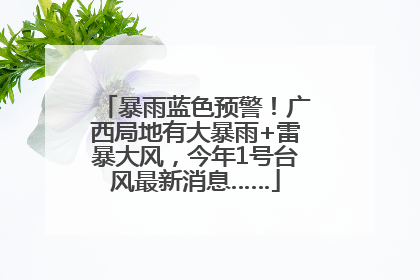 暴雨蓝色预警！广西局地有大暴雨+雷暴大风，今年1号台风最新消息……