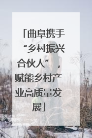曲阜携手“乡村振兴合伙人”，赋能乡村产业高质量发展