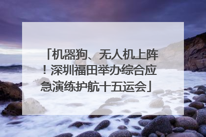 机器狗、无人机上阵！深圳福田举办综合应急演练护航十五运会