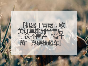 机器干冒烟，欧美订单排到半年后，这个国产“益生菌”真硬核超车