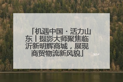 机遇中国・活力山东丨摄影大师聚焦临沂新明辉商城，展现商贸物流新风貌