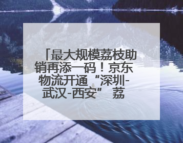 最大规模荔枝助销再添一码！京东物流开通“深圳-武汉-西安” 荔枝全货机航线