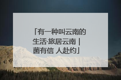 有一种叫云南的生活·旅居云南｜菌有信 人赴约