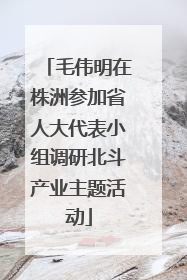 毛伟明在株洲参加省人大代表小组调研北斗产业主题活动