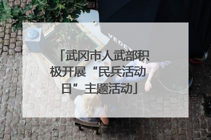 武冈市人武部积极开展“民兵活动日”主题活动