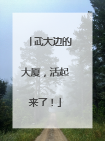 武大边的大厦，活起来了！