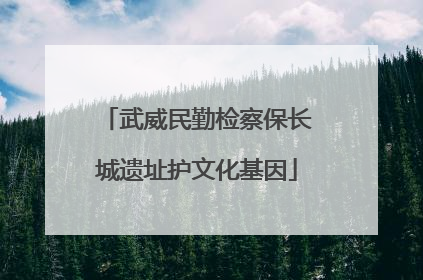 武威民勤检察保长城遗址护文化基因