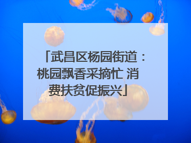 武昌区杨园街道：桃园飘香采摘忙 消费扶贫促振兴