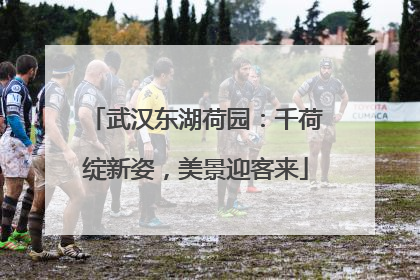 武汉东湖荷园：千荷绽新姿，美景迎客来