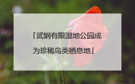 武钢有限湿地公园成为珍稀鸟类栖息地