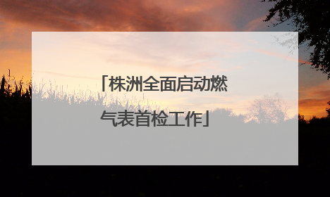 株洲全面启动燃气表首检工作