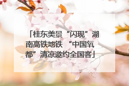桂东美景“闪现”湖南高铁地铁 “中国氧都”清凉邀约全国客