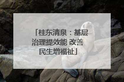 桂东清泉：基层治理提效能 改善民生增福祉