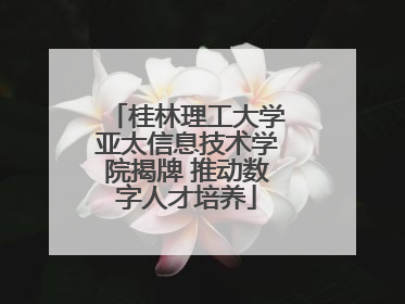 桂林理工大学亚太信息技术学院揭牌 推动数字人才培养