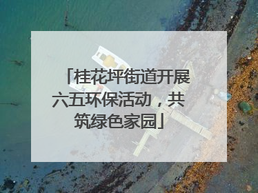 桂花坪街道开展六五环保活动，共筑绿色家园