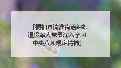 桐柏县清淮街道组织退役军人党员深入学习中央八项规定精神