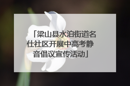 梁山县水泊街道名仕社区开展中高考静音倡议宣传活动